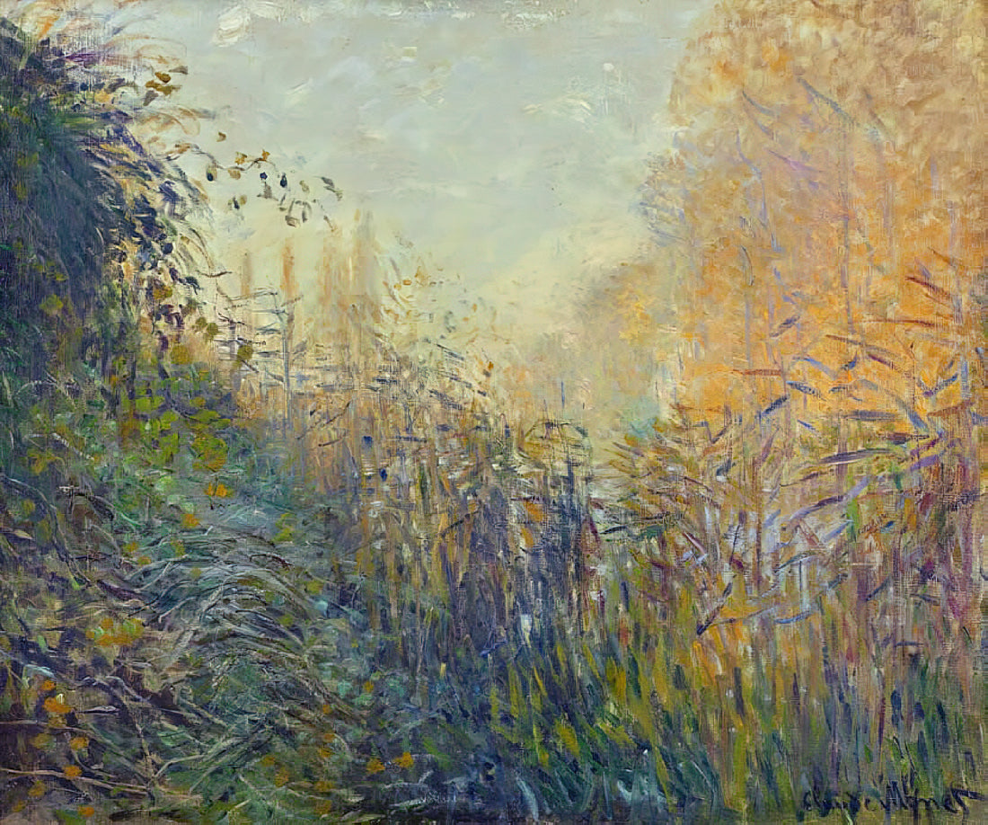 Framed Claude Monet Prints: A Curated Guide to Museum-Quality Impressionist Art - Study Rushes at Argenteuil by claude monet