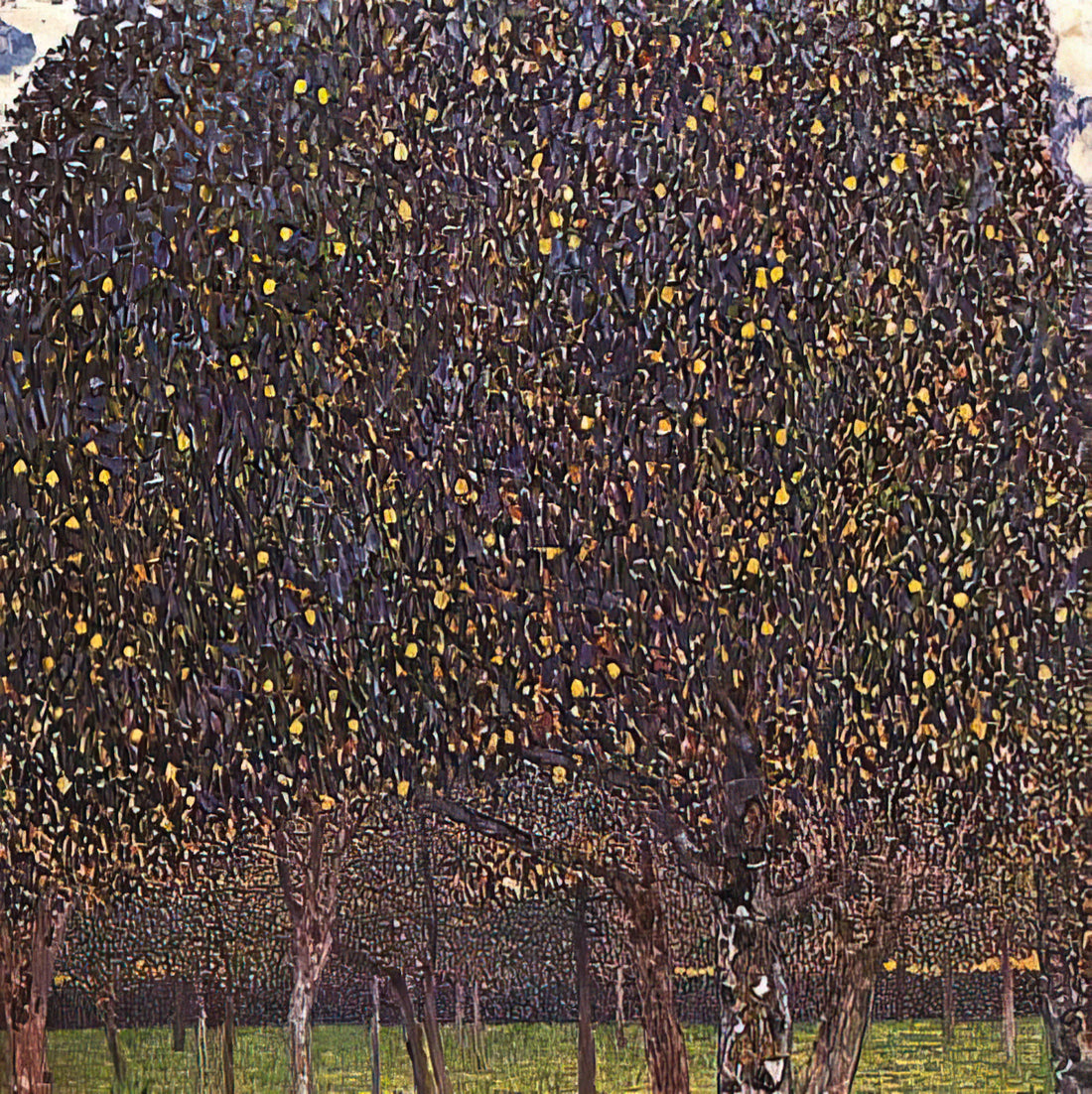 Gustav Klimt Art Gallery: A Curator's Guide to His Golden Legacy - PEAR TREE 1903 by Gustav Klimt