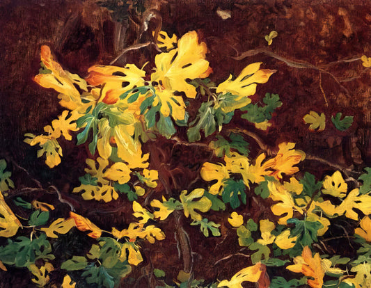 How to Paint Like John Singer Sargent: Mastering the Techniques of a Portrait Virtuoso - Study of a Fig Tree by John Singer Sargent