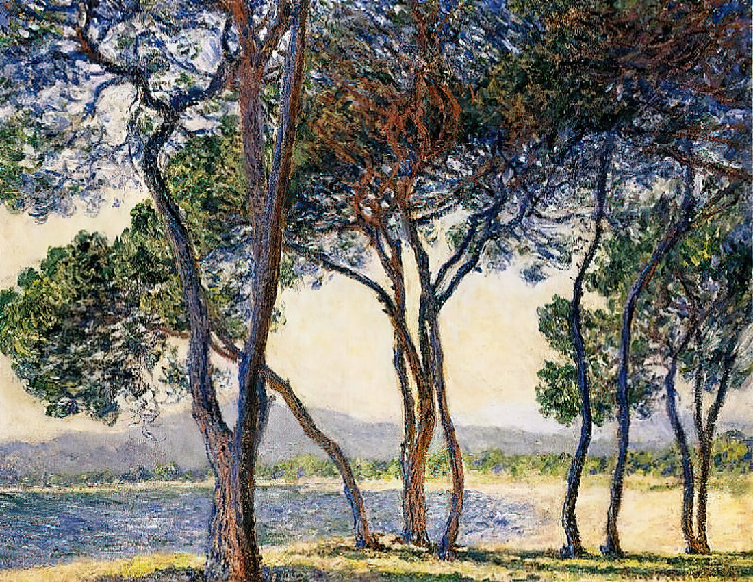 Impressionism Water Lilies: Monet's Masterpiece and the Art of Light - Trees by the Seashore at Antibes by claude monet