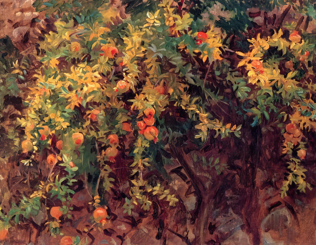 John Singer Sargent: The Master Portrait Painter of the Gilded Age - Pomegranates by John Singer Sargent