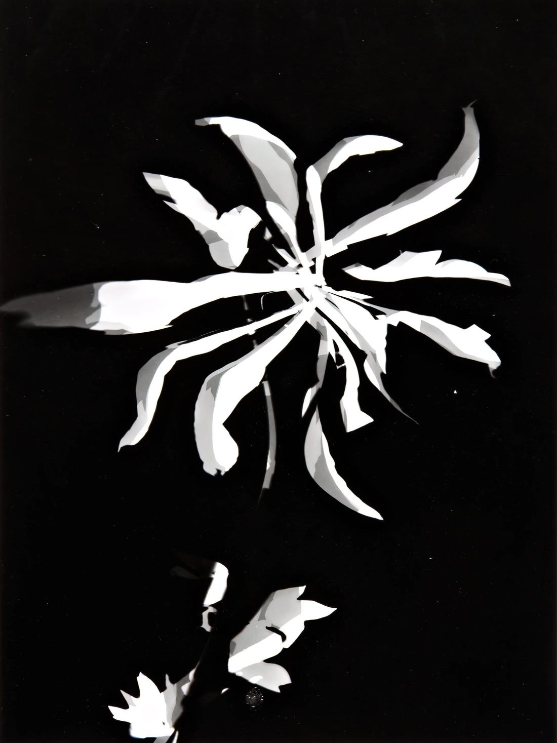 László Moholy-Nagy: The Photographic Visionary Who Redefined Modern Art - Changing patterns by Laszlo Moholy-Nagy