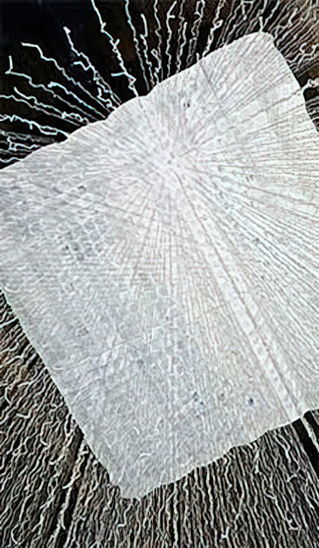 Lenore Tawney: Mirror of the Universe in Fiber Art and Sculpture - CLOUD SERIES V 1978 by Lenore Tawney