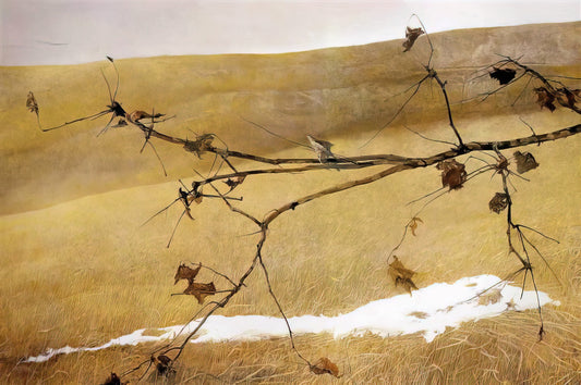 Lukisan Andrew Wyeth: Estetika Sunyi dan Kedalaman Realisme Amerika - LONG LIMB by Andrew Wyeth
