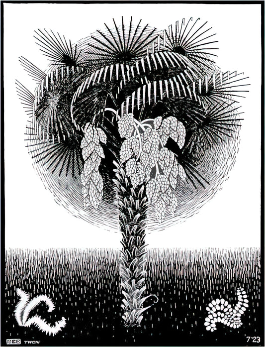 M.C. Escher Wood: The Master of Impossible Worlds in Woodcut Prints - PALM TREE by MC Escher