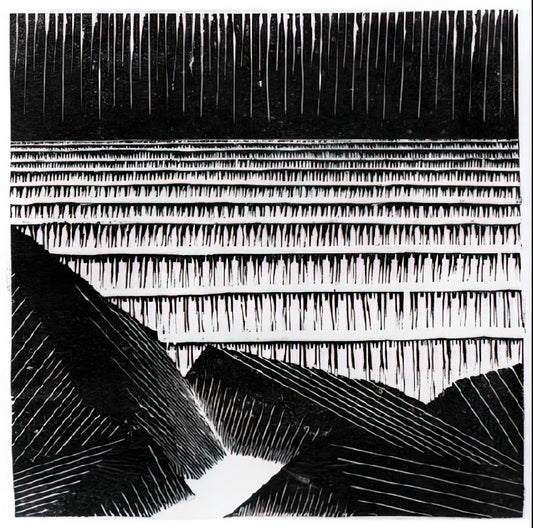M.C. Escher: The Master of Mathematical Art and Optical Illusions - ESCHER (4) by MC Escher
