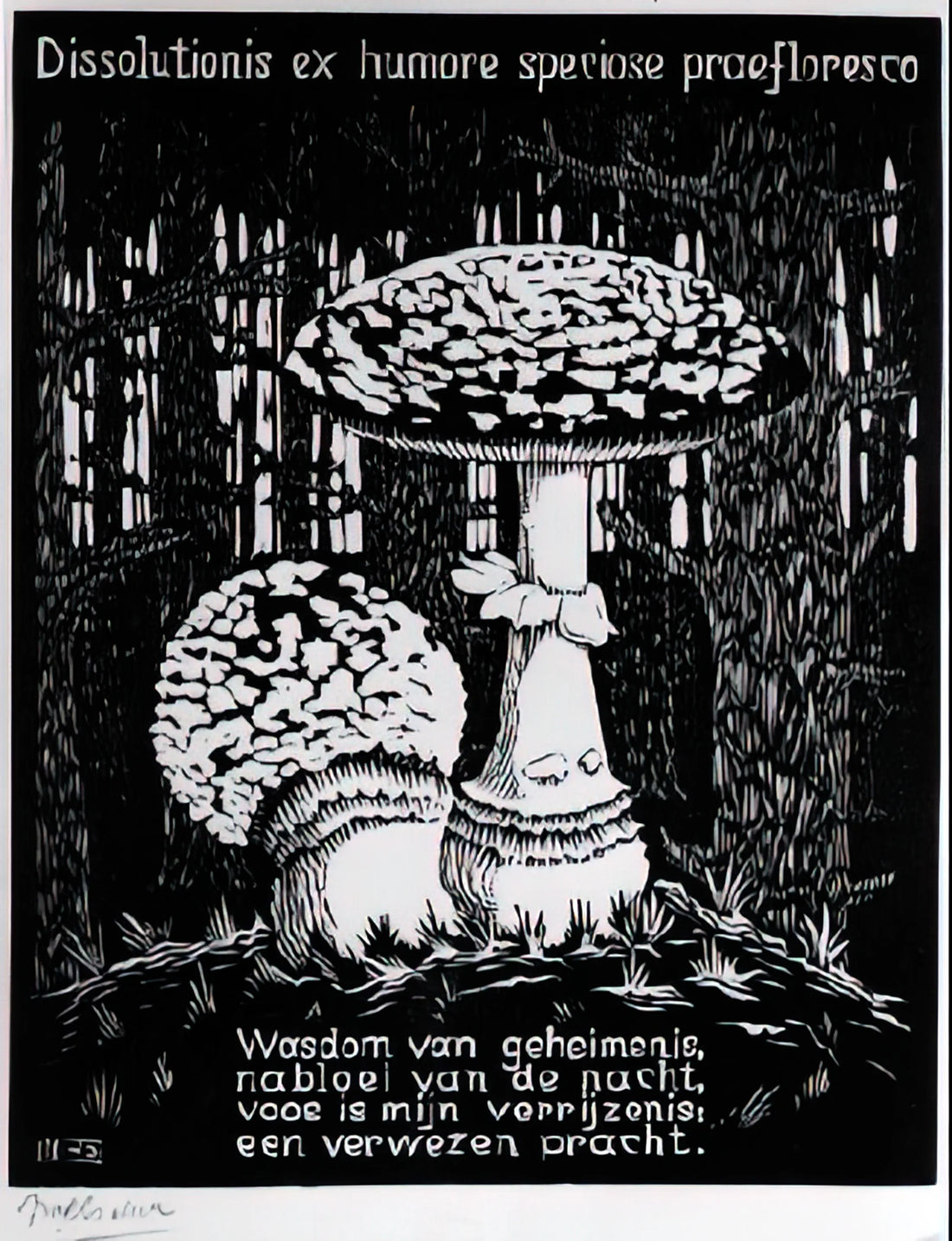 MC Escher Canvas Prints: The Definitive Guide to Owning Mathematical Art - EMBLEMATA TOADSTOOL by MC Escher