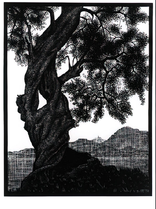 MC Escher Canvas: The Ultimate Guide to Owning His Mind-Bending Art Prints - OLD OLIVE TREE CORSICA by MC Escher