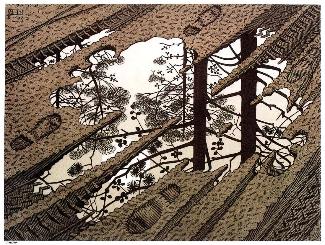 MC Escher Drawings: A Journey Through Impossible Worlds and Mathematical Artistry - PUDDLE by MC Escher