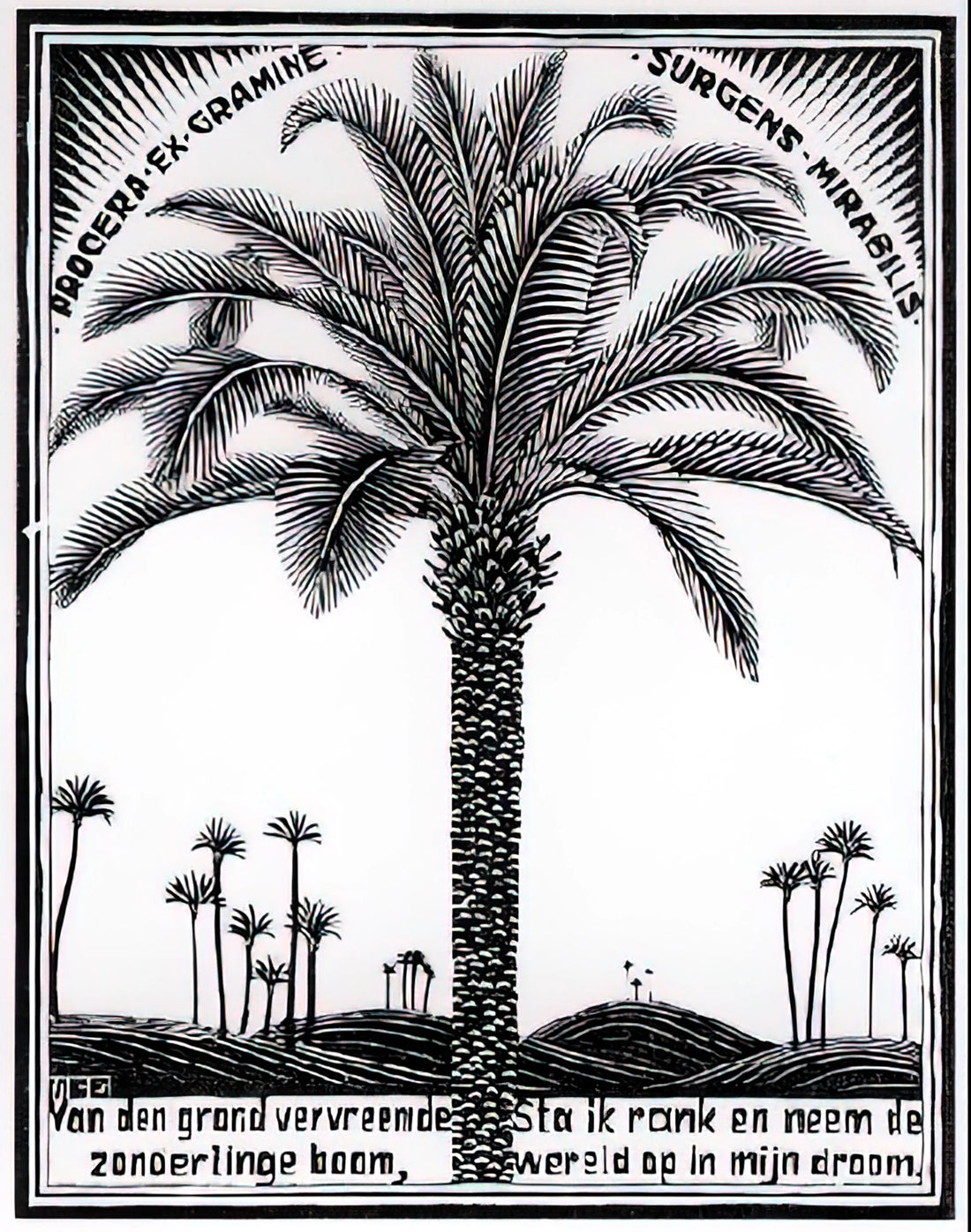 MC Escher Metamorphosis Poster: The Ultimate Guide to Escher's Transformative Masterpiece - PALM TREE 1 by MC Escher