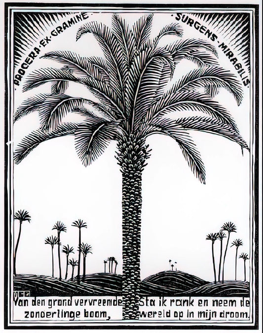MC Escher Original Prints for Sale: A Collector's Guide to Authentic Works - PALM TREE 1 by MC Escher