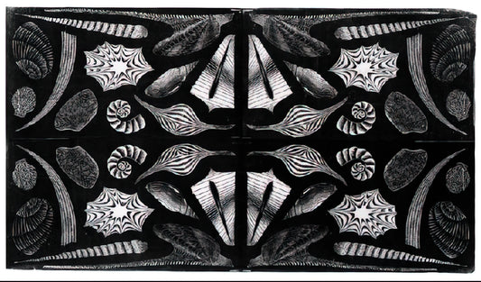MC Escher and Op Art: The Master of Mathematical Illusion and Visual Perception - ESCHER (5) by MC Escher