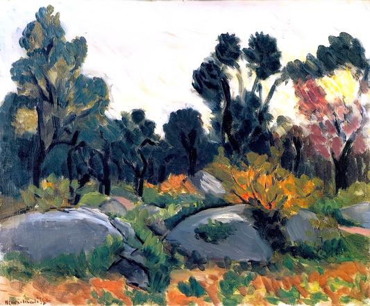 Matisse The Plain Tree Framed Print: A Collector's Guide to Fauvist Mastery - ROCKS IN THE VALLEE DU LOUP 1925 by Henri Matisse