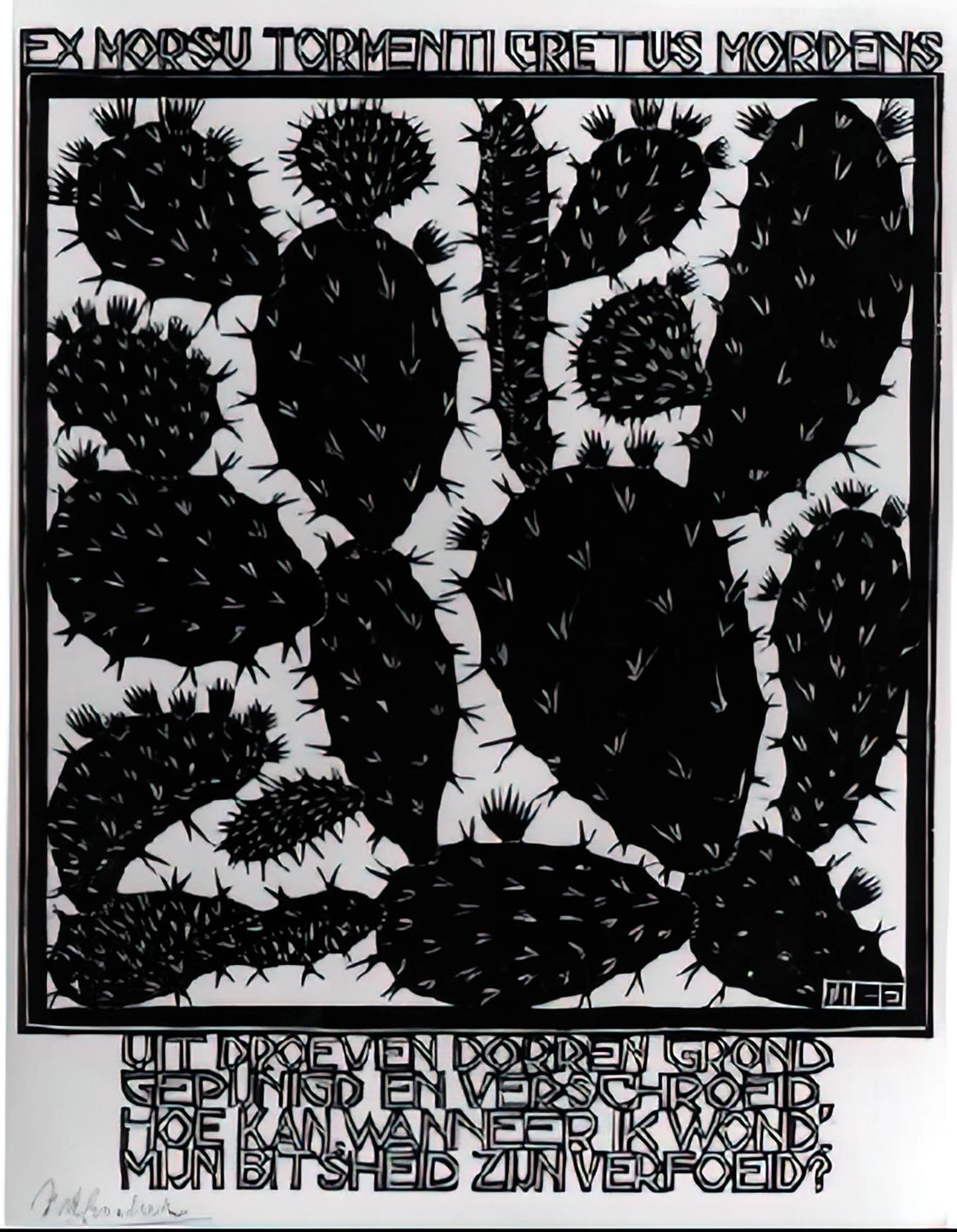 Maurits Cornelis Escher Day and Night: The Master of Visual Paradox - EMBLEMATA CACTUS by MC Escher
