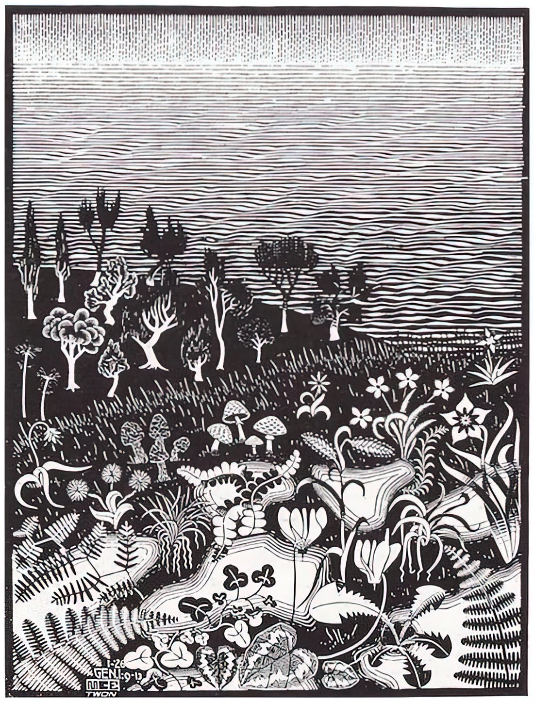 Maurits Cornelis Escher Poster: A Journey into the Mind of a Graphic Genius - THE 3RD DAY OF THE CREATION by MC Escher
