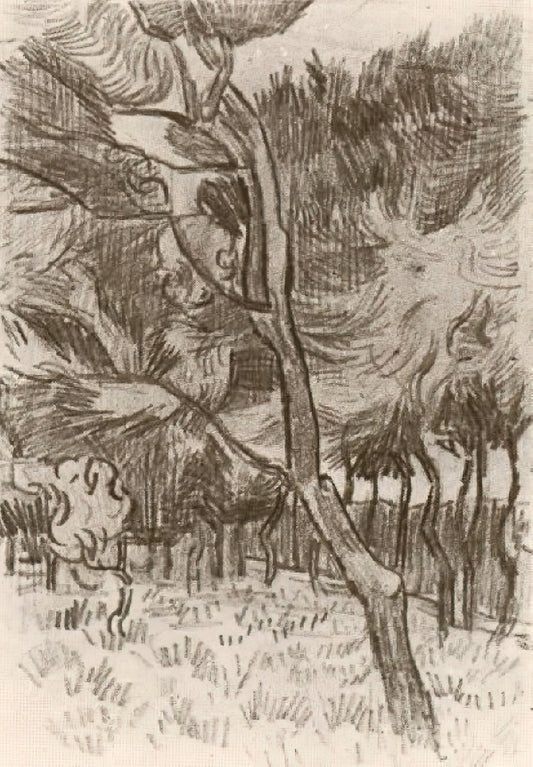 Millet First Steps: A Masterpiece of Rural Realism and Tender Humanity - Pine Trees in the Garden of the Asylum by Vincent van Gogh