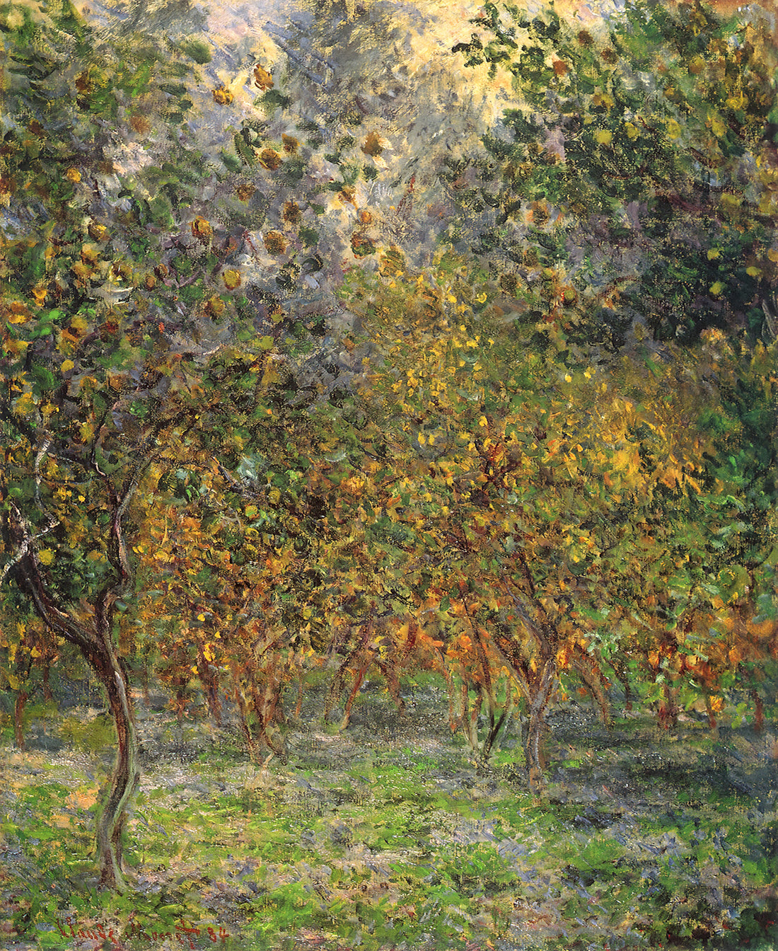 Monet Framed Art: Curating Impressionist Masterpieces for Your Collection - Under the Lemon Trees by claude monet