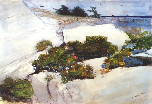 Most Famous Winslow Homer Paintings: A Curator's Guide to His Masterpieces - MAINE CLIFFS by Winslow Homer