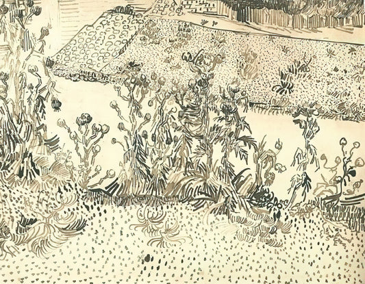 Musée d'Orsay Starry Night: The Story Behind Van Gogh's Celestial Masterpiece - Thistles Along the Roadside by Vincent van Gogh