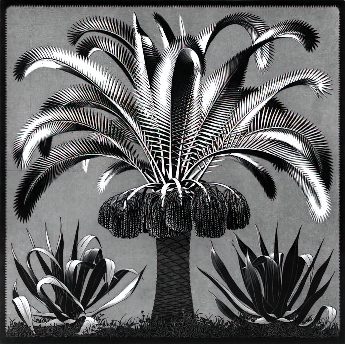 Original Escher Prints for Sale: A Collector's Guide to Acquiring Museum-Quality Art - PALM by MC Escher