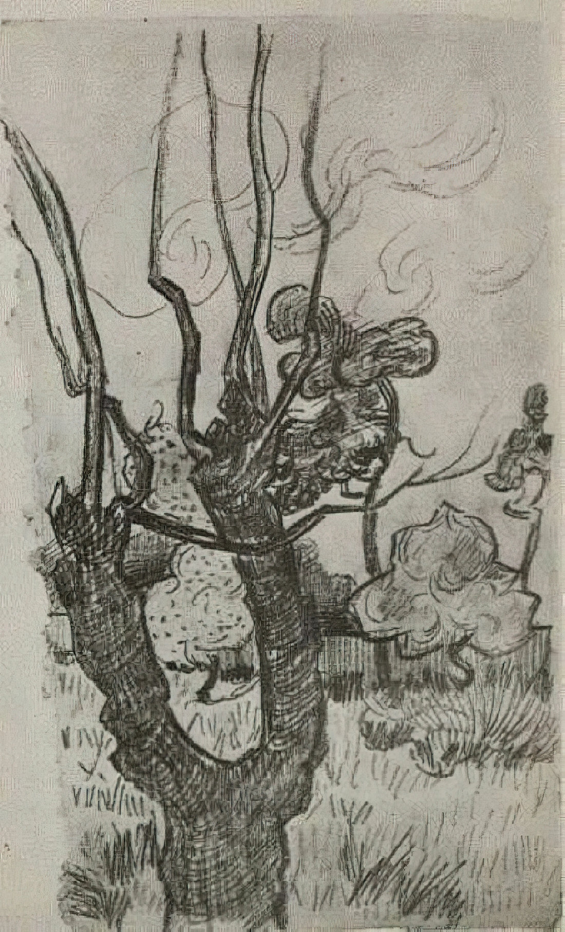 Peasant Shoes by Vincent van Gogh: An Icon of Empathy and Artistic Evolution - A Bare Treetop in the Garden of the Asylum by Vincent van Gogh