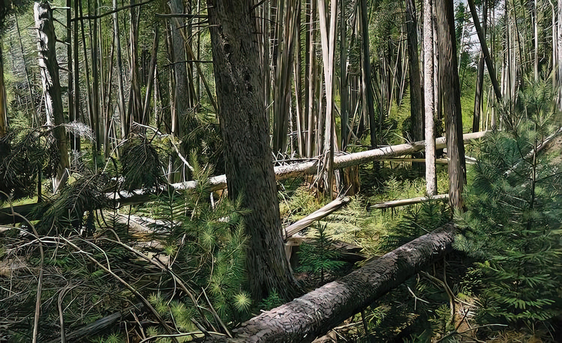 Richard Estes D Train Print: Photorealism's Urban Masterpiece - NEAR HUNTERS BEACH ACADIA NATIONAL PARK 2008 by Richard Estes