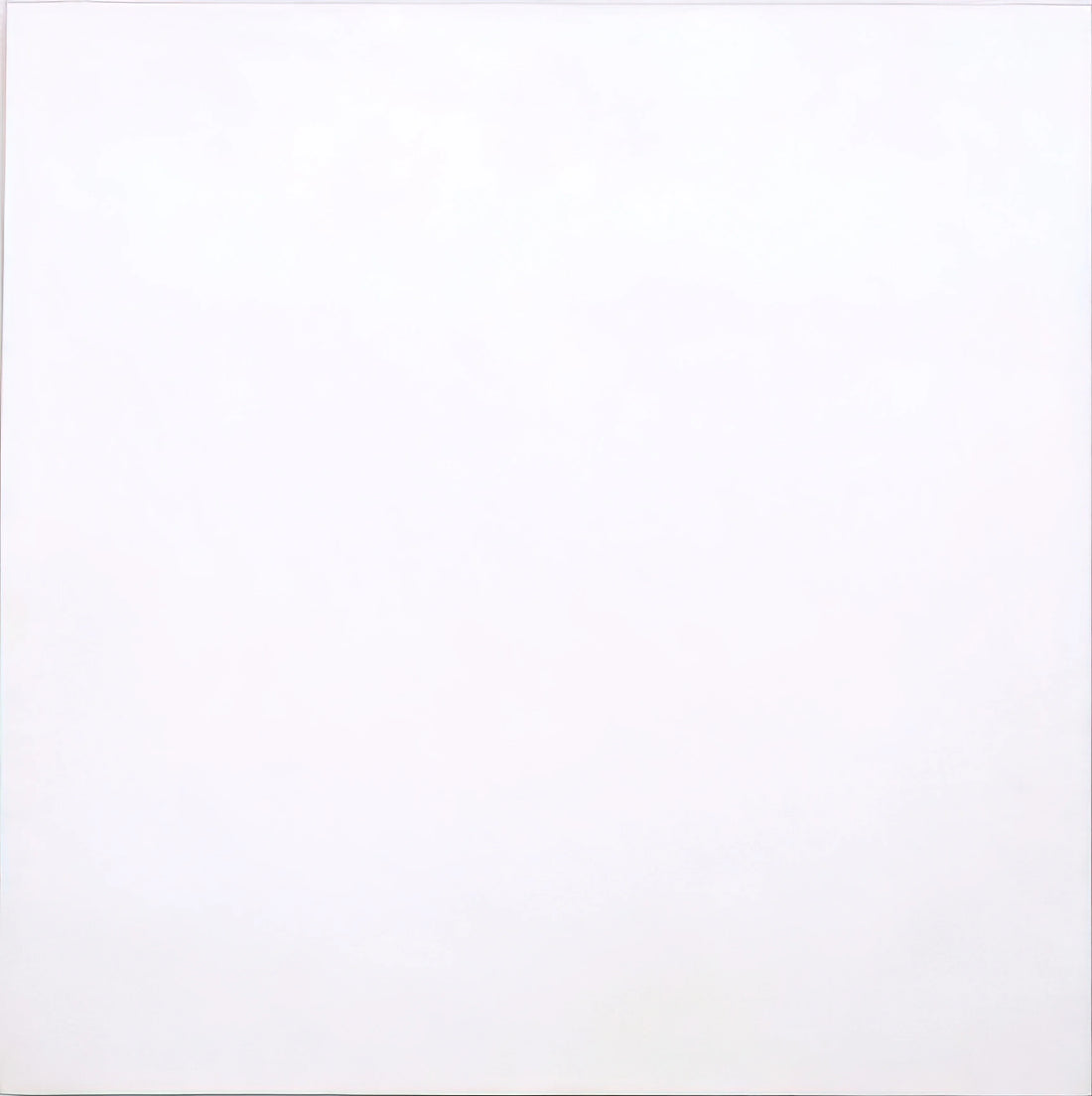 Robert Rauschenberg Photography: The Combines, Transfers, and Radical Vision - WHITE PAINTING 1951 by Robert Rauschenberg