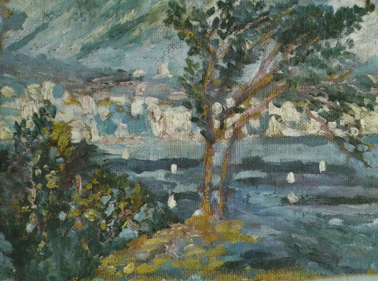 Salvador Dalí Framed: A Curator's Guide to Collecting Museum-Quality Prints - LANDSCAPE CADAQUES 1920 by Salvador Dali