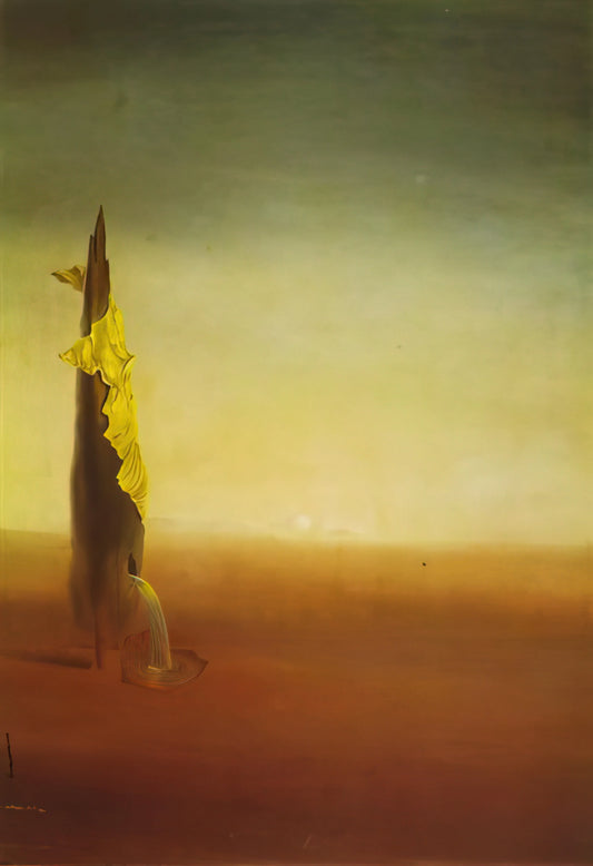 Salvador Dalí Hand Signed Lithograph: A Collector's Guide to Authenticity, Value, and Legacy - THE BIRTH OF LIQUID FEARS by Salvador Dali