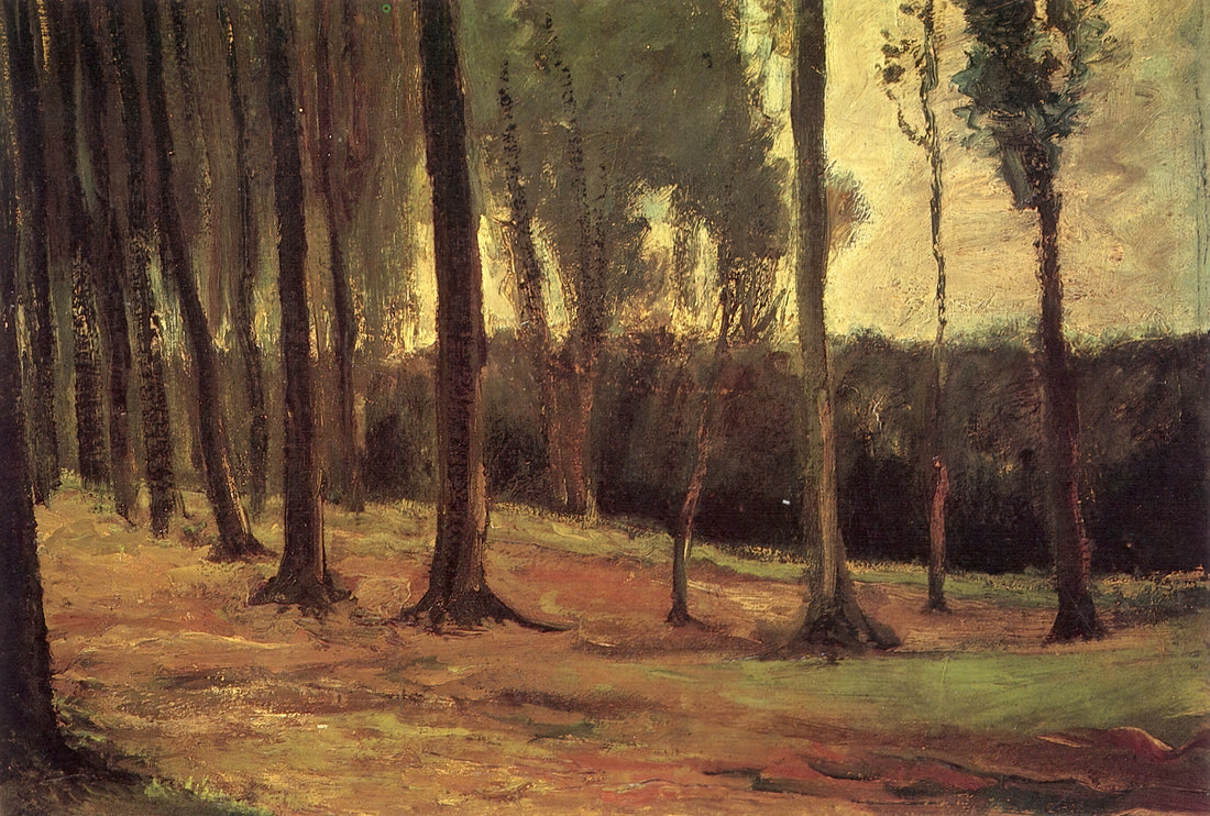Starry Night Reproduction Oil Canvas: A Collector's Guide to Van Gogh's Masterpiece - Edge of a Wood by Vincent van Gogh