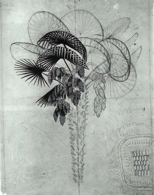 The Allure of Escher Originals: Understanding the Value and Legacy of Maurits Cornelis Escher's Work - PALM TREE SKETCH by MC Escher
