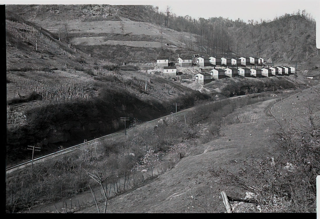 The Enduring Power of Ben Shahn Works: A Chronicle of Human Dignity - COAL COMPANY TOWN IN JENKINS 1935 by Ben Shahn