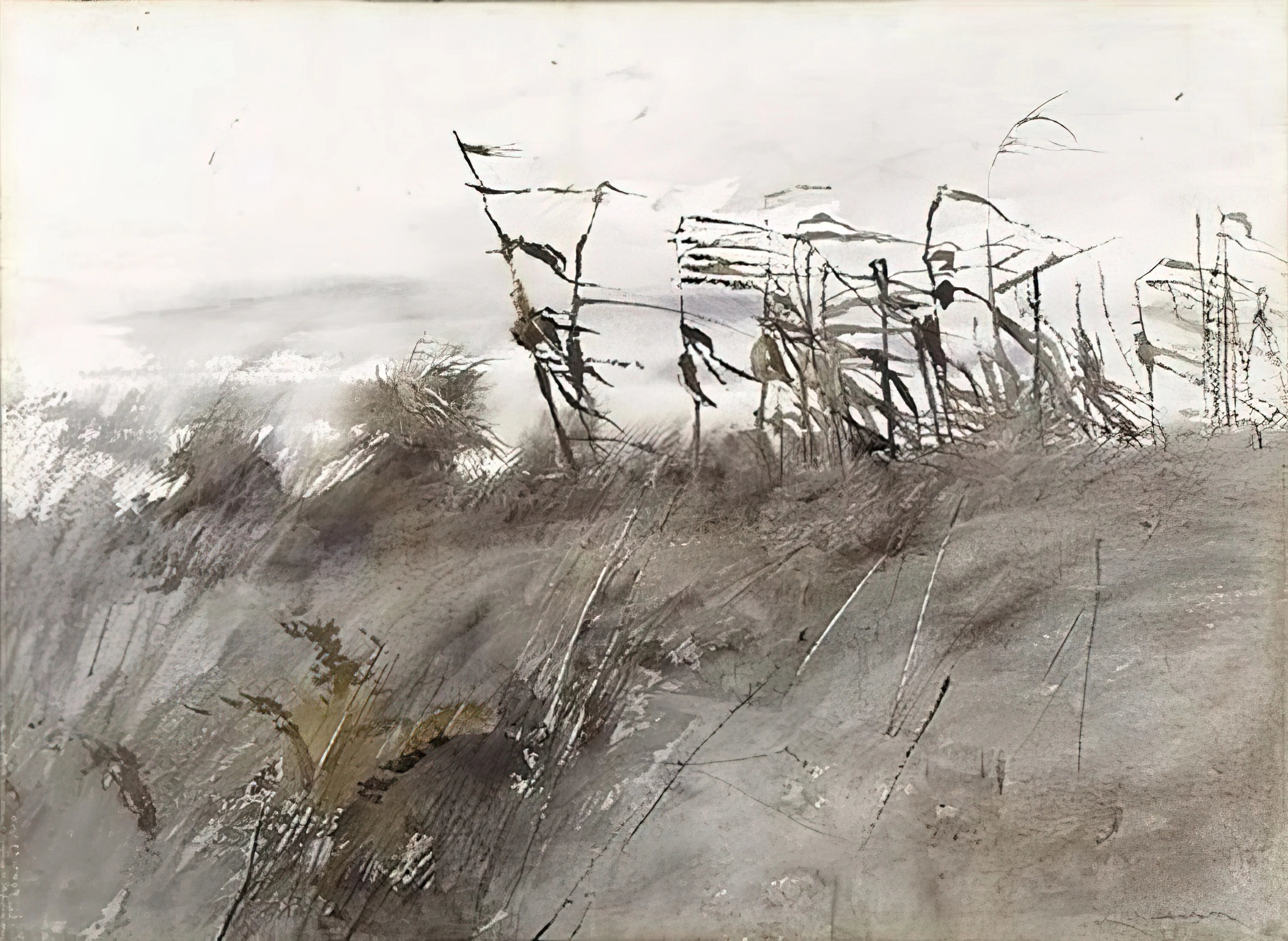 Enduring Works The Enduring Power of Works by Andrew Wyeth: A Curator's Guide to His ...