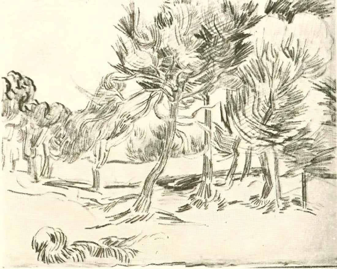 The Enduring Radiance: Exploring the Fondation Vincent van Gogh Arles - A Group of Pine Trees by Vincent van Gogh