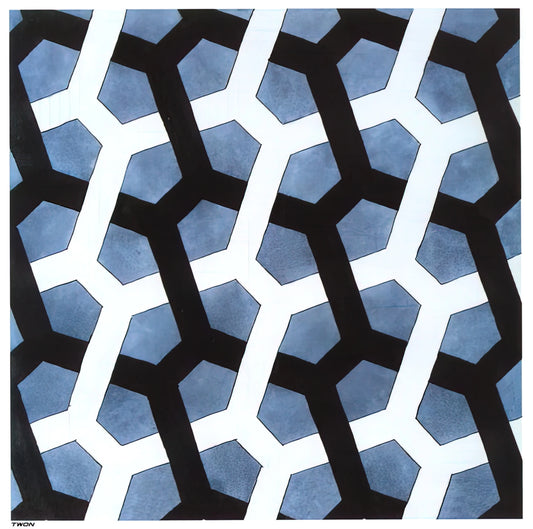 The Metamorphosis Poster by M.C. Escher: A Journey Through Impossible Transformations - INTERLACED HEXAGON by MC Escher