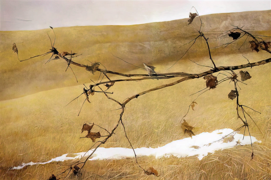 The Quaker Andrew Wyeth: Faith, Solitude, and the American Landscape - LONG LIMB by Andrew Wyeth