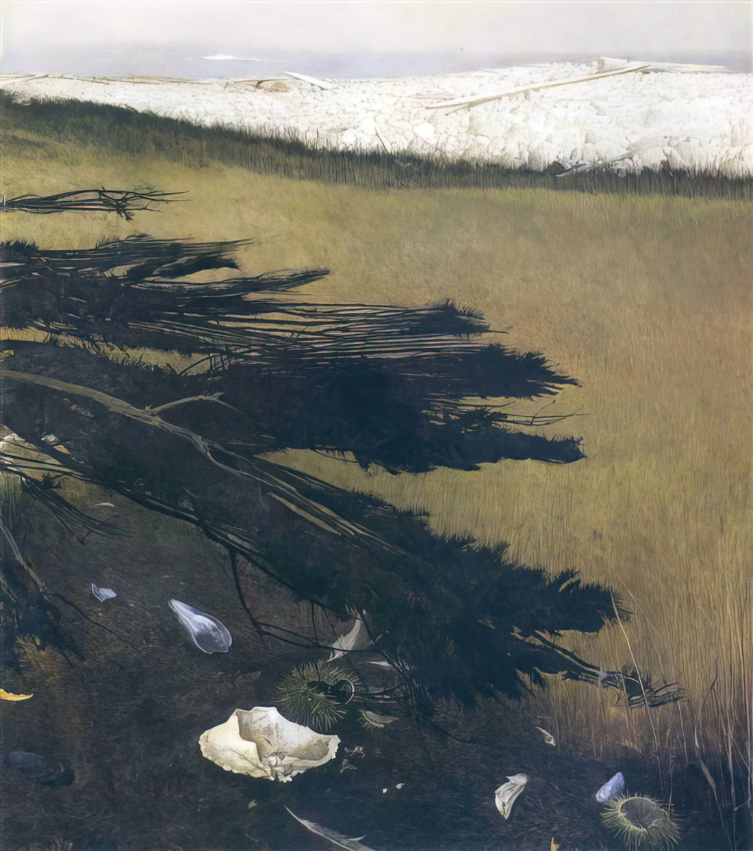 Three Generations of Wyeth Art: A Legacy of American Realism - NOT DETECTED 47 by Andrew Wyeth