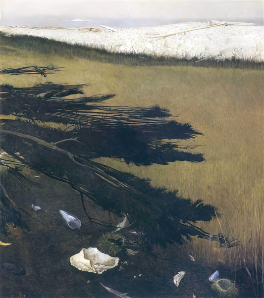Three Generations of Wyeth Art: A Legacy of American Realism - NOT DETECTED 47 by Andrew Wyeth