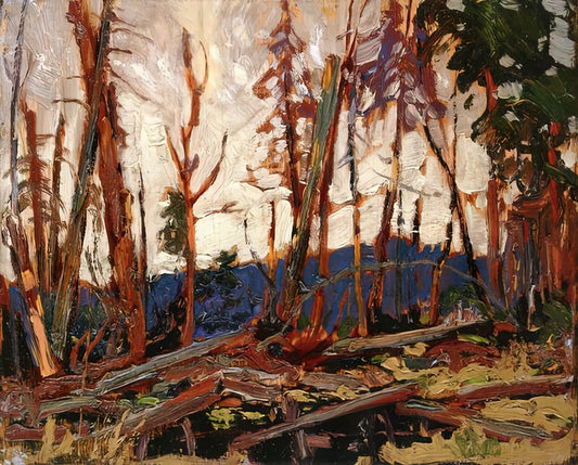 Tom Thomson Canvas: The Wilderness Visionary Who Redefined Canadian Art - BURNT COUNTRY EVENING SKETCH FOR BURNT LAND 1914 by Tom Thomson