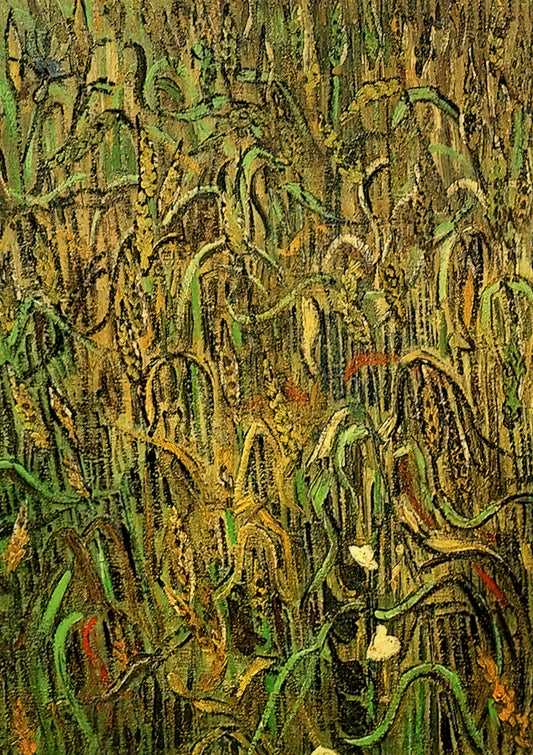 Unveiling the Masterpieces: Vincent Van Gogh at the Musée d'Orsay - Ears of Wheat by Vincent van Gogh