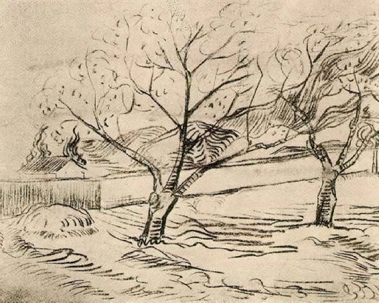 Van Gogh Canvas Prints for Sale: Curating Museum-Quality Reproductions for Your Collection - Two Trees by Vincent van Gogh