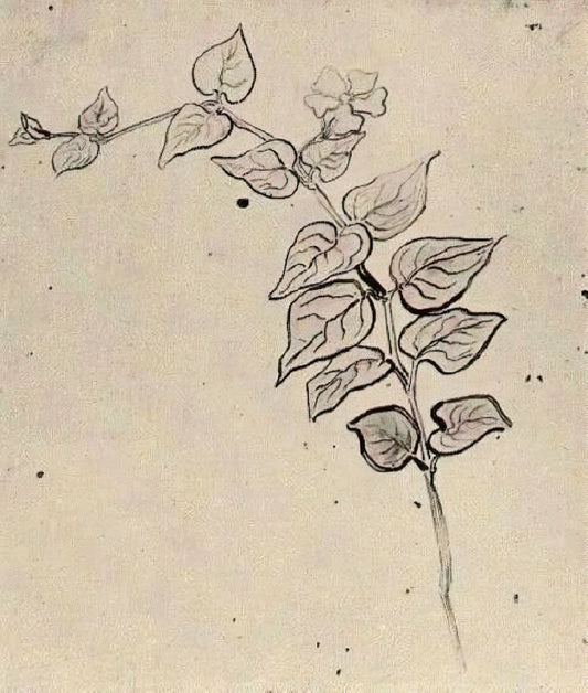 Van Gogh Early Work: The Formative Years of a Revolutionary Artist - Branch with Leaves by Vincent van Gogh