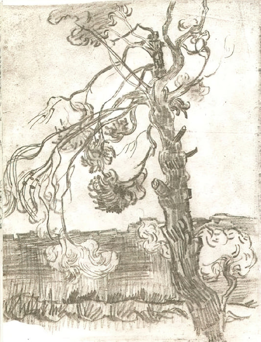 Van Gogh Fields: The Artist's Vision of Nature and Emotion in Landscape Art - A Weather-Beaten Pine Tree by Vincent van Gogh