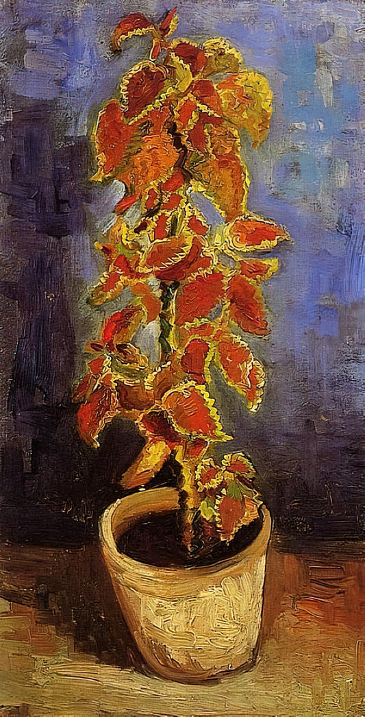 Van Gogh High Quality Prints: A Collector's Guide to Museum-Quality Reproductions - Coleus Plant in a Flowerpot by Vincent van Gogh