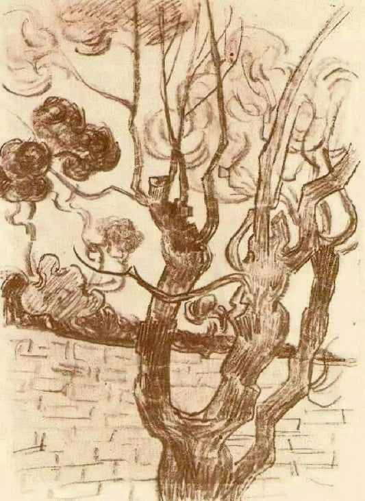 Van Gogh Poppies Print: A Masterpiece of Color and Emotion - Treetop Seen against the Wall of the Asylum by Vincent van Gogh