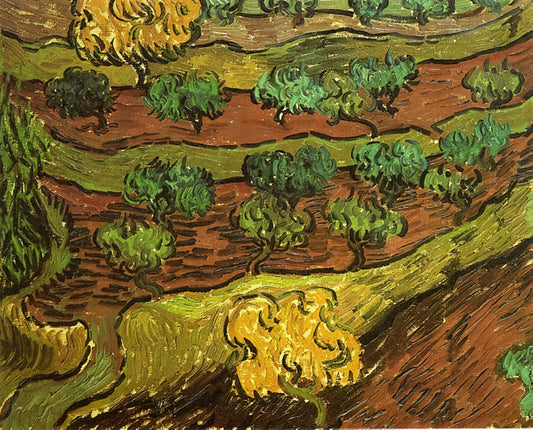 Van Gogh Poster Art: A Guide to Iconic Prints and Their Enduring Appeal - Olive Trees against a Slope of a Hill by Vincent van Gogh