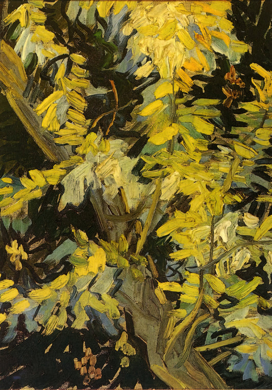 Van Gogh Prints: A Curator's Guide to Owning Museum-Quality Art - Blossoming Acacia Branches by Vincent van Gogh