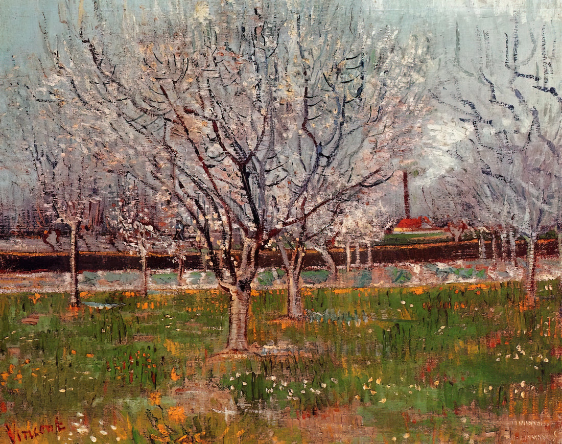 Van Gogh Starry Night Framed Print: A Curator's Guide to Owning an Icon - Orchard in Blossom Plum Trees by Vincent van Gogh