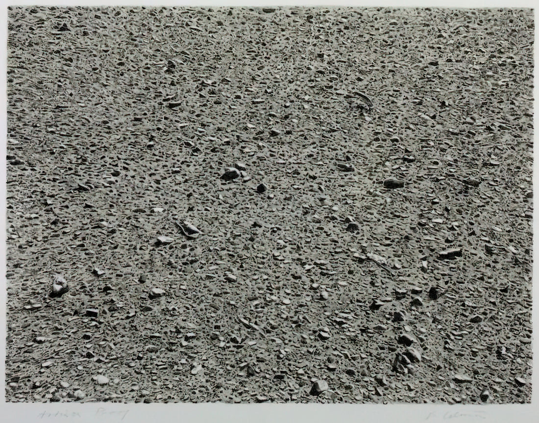 Vija Celmins Artwork: The Meditative Precision of the Cosmos and Everyday Objects - DESERT 1975 by Vija Celmins