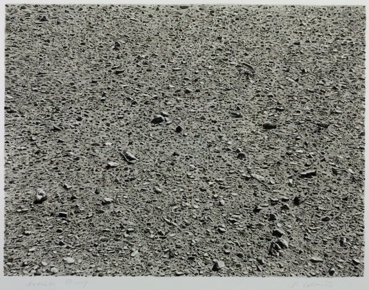Vija Celmins Artwork: The Meditative Precision of the Cosmos and Everyday Objects - DESERT 1975 by Vija Celmins